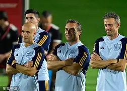 西班牙队连续不败，战胜瑞典队升至小组第一(西班牙队连续不败,战胜瑞典队升至小组第一的是谁)