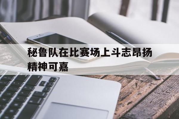 九州娱乐官方入口-秘鲁队在比赛场上斗志昂扬精神可嘉