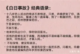 惊掠风云!球场上一幕接一幕,引人入胜的简单介绍 惊掠风云!球场上一幕接一幕,引人入胜的简单介绍